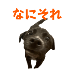 jack_20221129173431