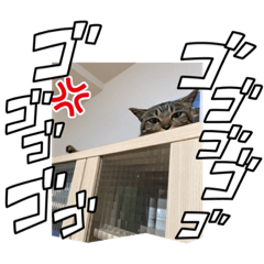 cotatu_20221130100949