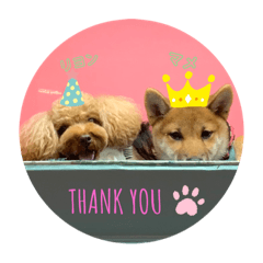 Reyon_20221129191304