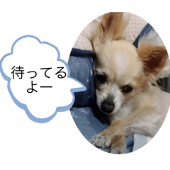 ako_20221130055758 – LINE stickers | LINE STORE