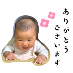 hikari_20221130095157