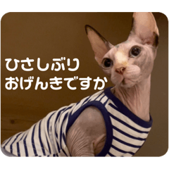 Tom_20221129224914