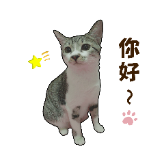 麻糬喵喵（1）