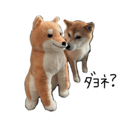 iwara_20221130114825