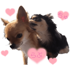 shiho_20221130112500