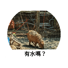 謙的貼圖