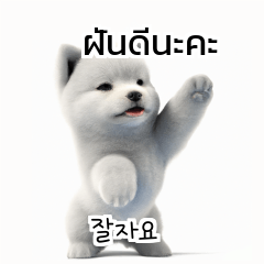 Thai Korean TH KR Samoyed i4g