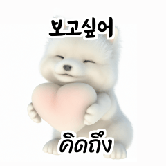 Thai Korean TH KR Samoyed aoZ