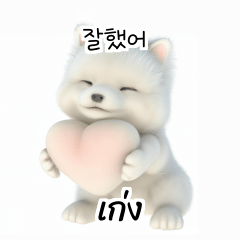 Thai Korean TH KR Samoyed Fi0