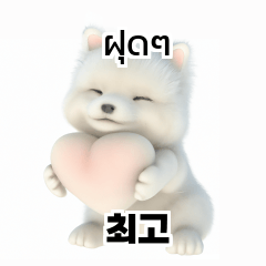 Thai Korean TH KR Samoyed y2C