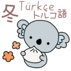 Turkish&Japanese - Fluffy Koala - Winter