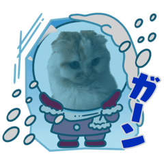 yuka_20221129203602