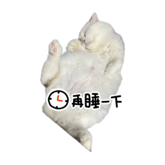 咘咘的夥伴們2.0