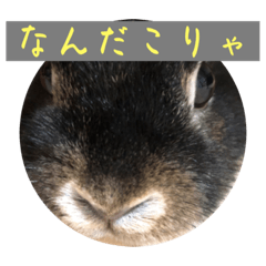 smile_20221129222651