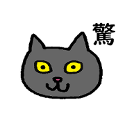CAT WITH A KAINJI STICKER