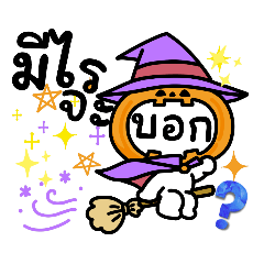 Why_20221130083530