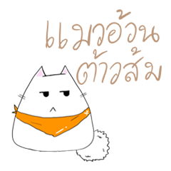 แมวอ้วนต้าวส้ม