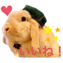 AOI_20221130165134