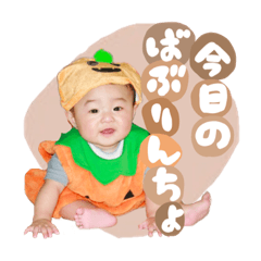 tanuki_20221130170526