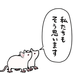 しゃべる白ネズミ(2匹)