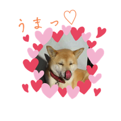 yuka_20221130184650