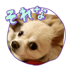 Alice_20221130203333