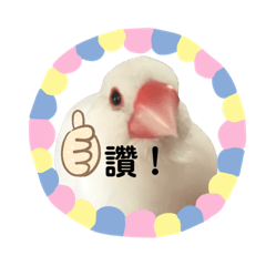 啾咪和小寶的可愛日常