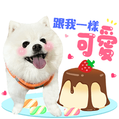 熊寶貝爽爽過日子