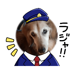 sachiko_20221130195516