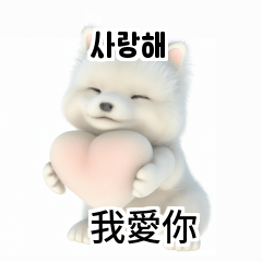 Samoyed KR EN JP TH CN TW SBw