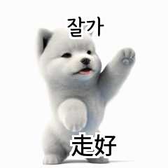 Samoyed KR EN JP TH CN TW QjX