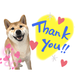 tentsukimam_20221130195907