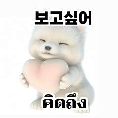 Thai Korean TH KR Samoyed qSp