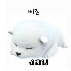 Thai Korean TH KR Samoyed 7xU