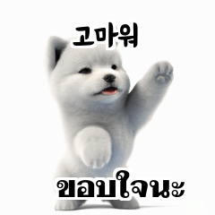 Thai Korean TH KR Samoyed emy