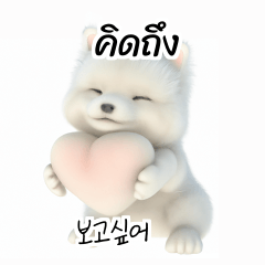Thai Korean TH KR Samoyed Hhr