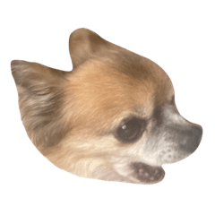 sumityan_20221201143306