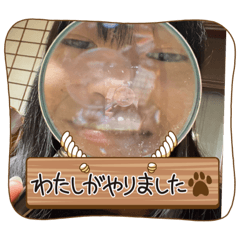 OMG_20221201172228