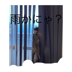sj_20221202094336