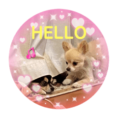 Alice_20221202034213