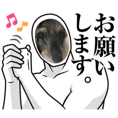 tomomi_20221202032541