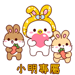 Rabbit baby cat_XIAO MING