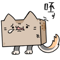 Cat box appeared