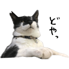 Mizuki_20221201194634