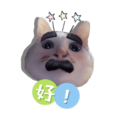 毛毛小公主語錄