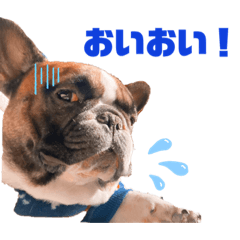 French bulldog beat's stamp