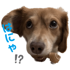 yuka_20221201215330
