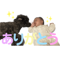 yuka_20221202110553