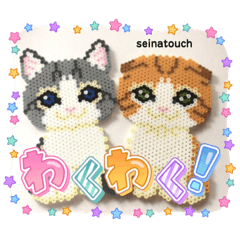 seinatouchのスコティッシュフォールド♪