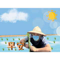 添富哥